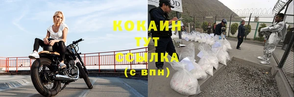 прущая мука Горняк