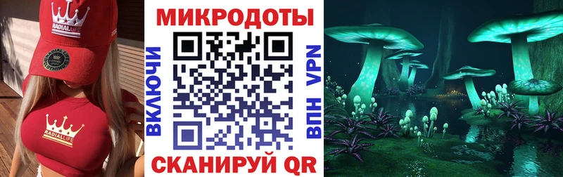 Галлюциногенные грибы Psilocybe  закладки  Уварово 